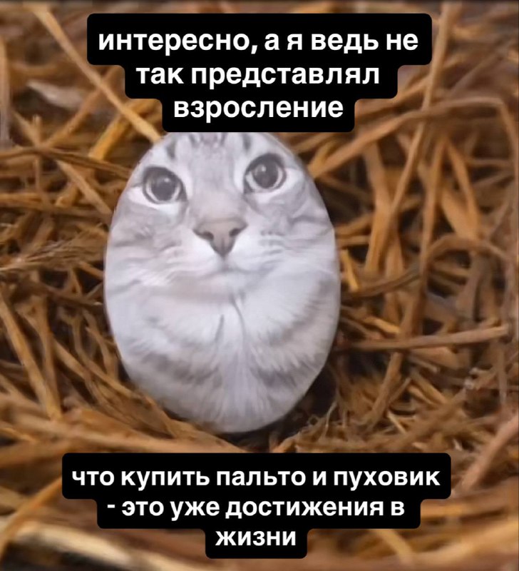 причем весьма весомые