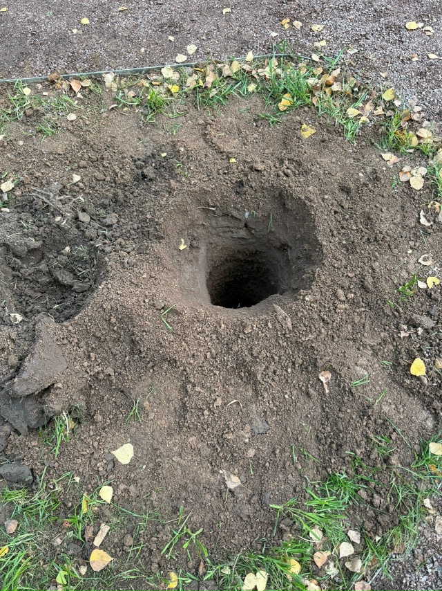 Добрый вечер.К кому обращаться и куда писать?!Парк 50-ле?...