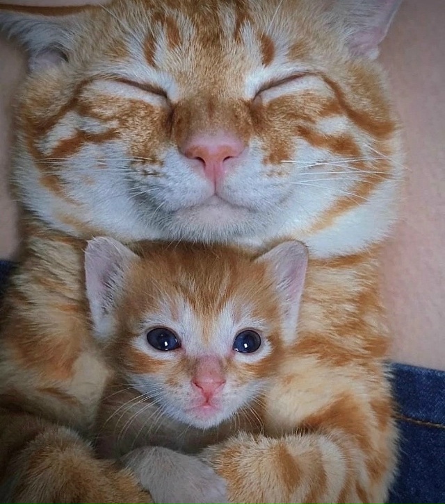 Всем снов💤