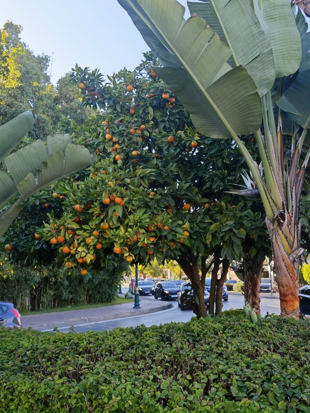 Кто как проводит время? С фото 🤗
Посылаю вам мандарино...