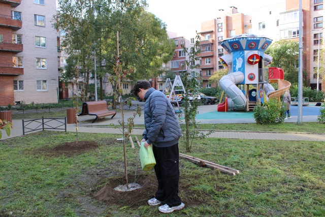 В Петергофе по заказу муниципалитета завершились комп...