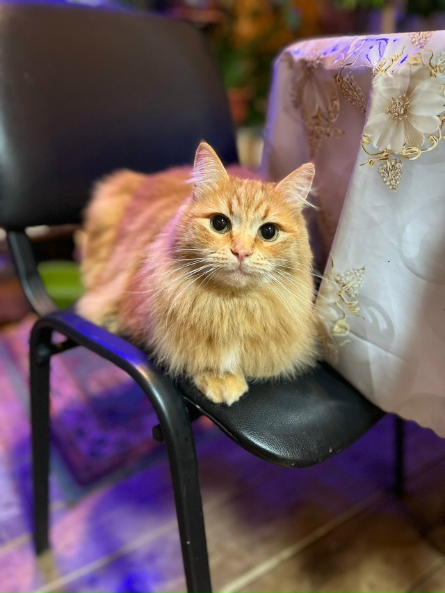 Филимон❤️