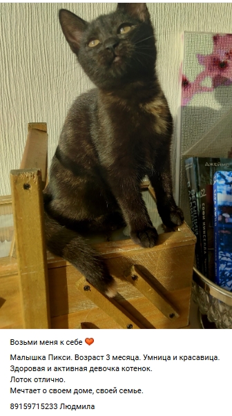 Пост добра. Распространите, пожалуйста.