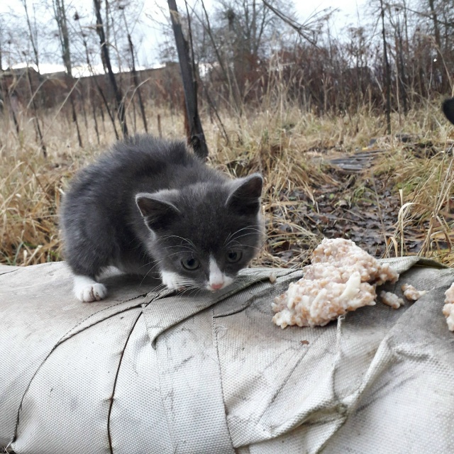 Они Вас ждут