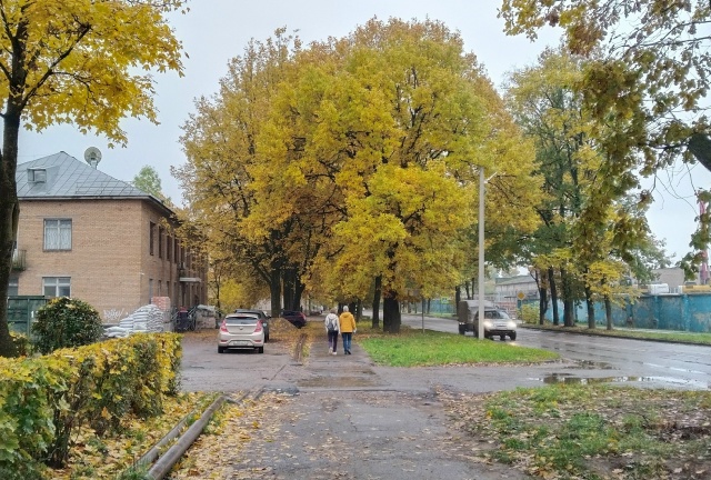 Разница фото неделя