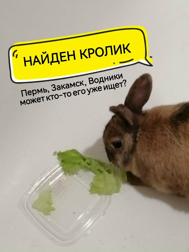 Здравствуйте. Опубликуйте пожалуйста.
❤️Закамск, Вод?...
