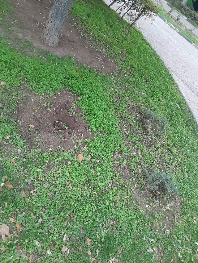 Продолжаем сезонные работы по озеленению Евпатории.
П...