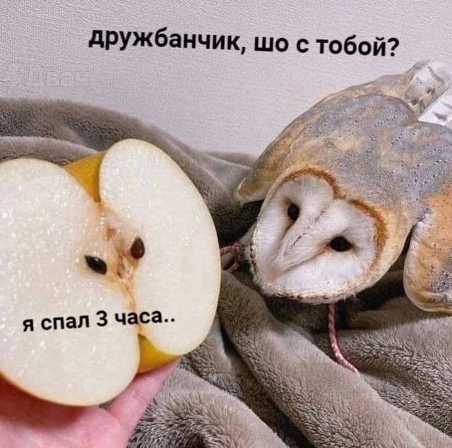 как настроение?