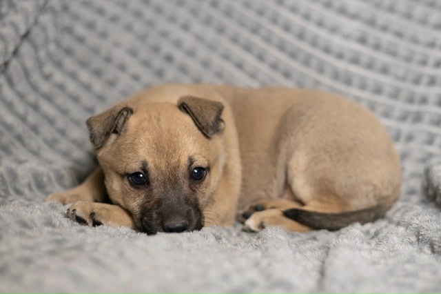 Очень милый малыш с немного грустными глазками и необы...