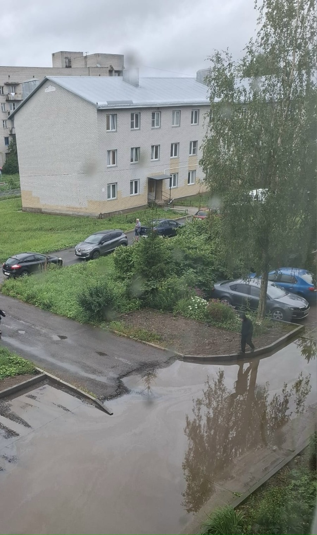 Борисогорское поле 14б. После дождей не уходила вода, а ?...