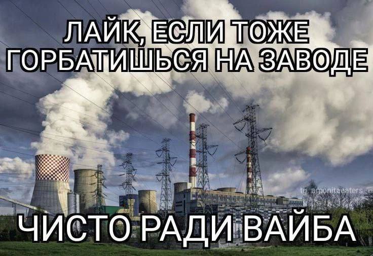 Утренняя подборочка