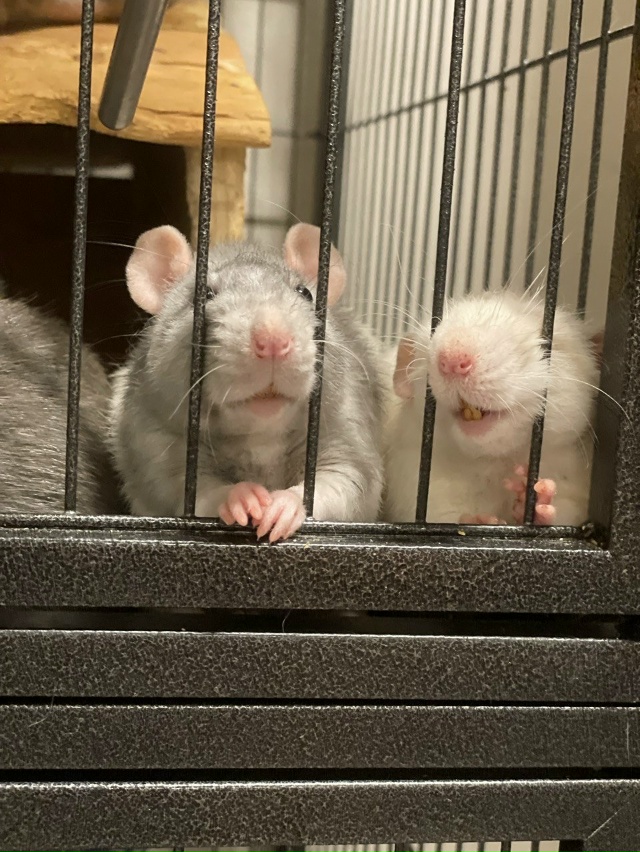 😭Крик о помощи...
Дорогие друзья, меня зовут Маша и я в?...