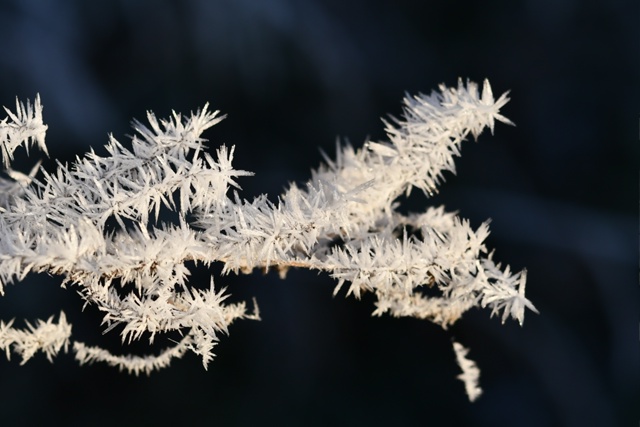 Сказочное фото!
Фото: [id451441227|Олег Сотников ]