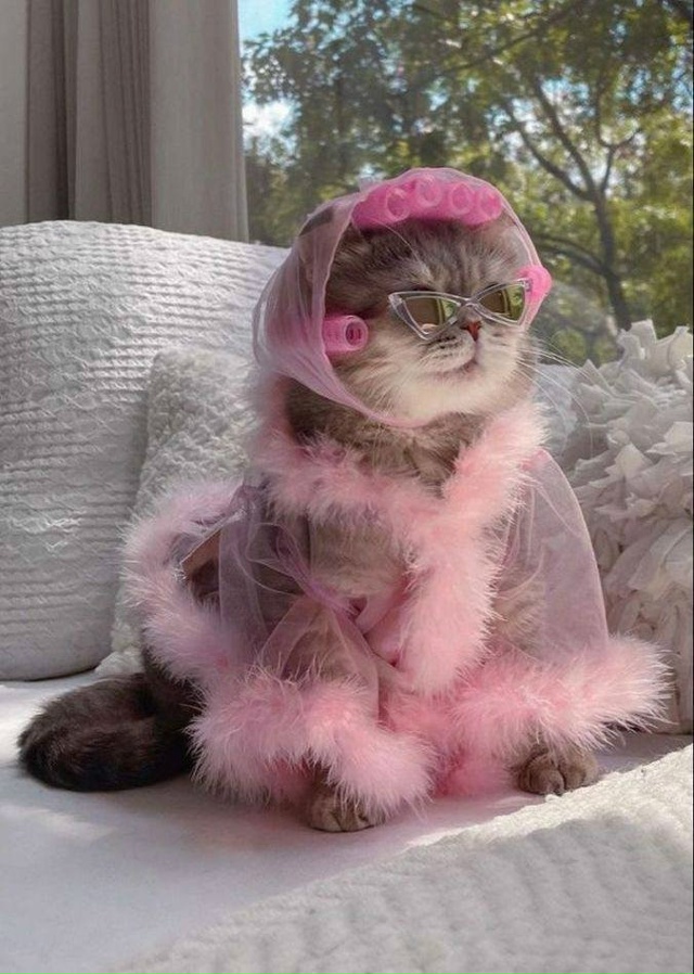 ️⚡️Всемирный день женского счастья отмечается сегод...