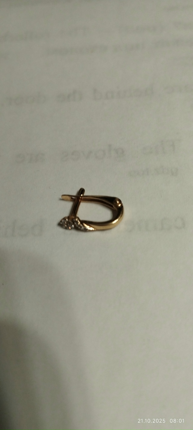 Найдена детская сережка на ул. Работниц, верну если у В?...