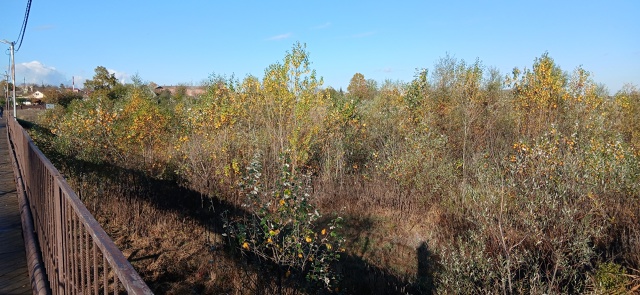 Анон.
Абинском видно не кто не занимается. Администрац?...