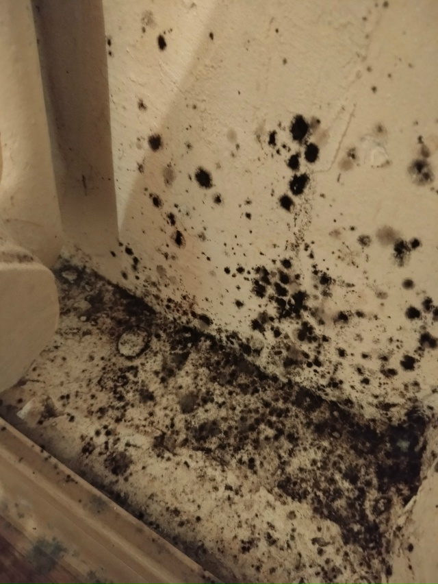 😔 Вот к чему приводит отсутствие отопления...
Космона?...