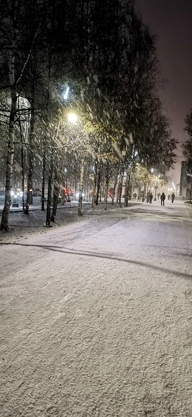 Снег❄.. Снег❄.. Снег❄...