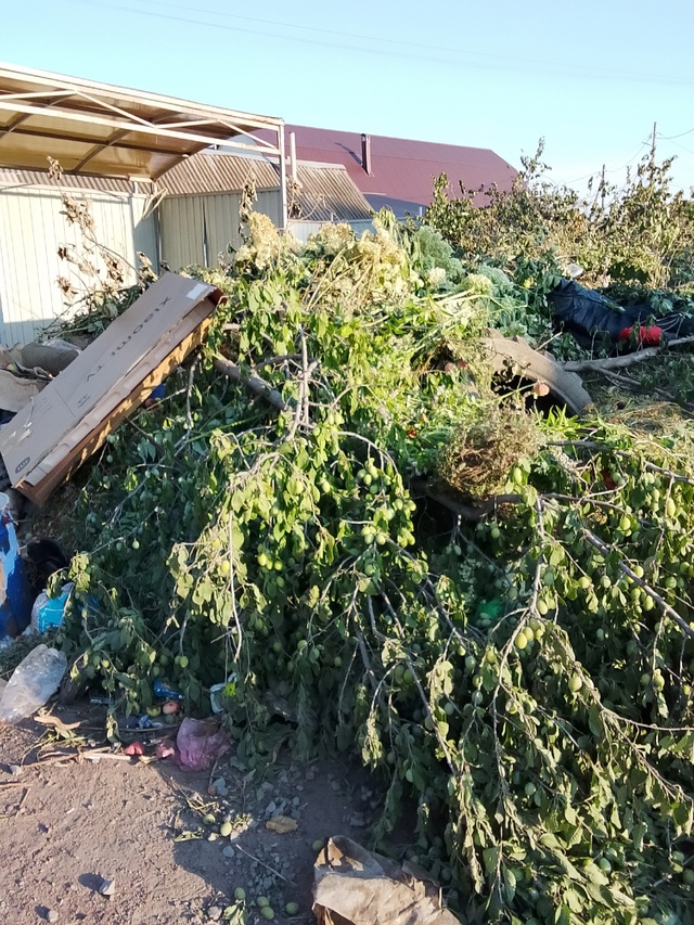 Здравствуйте уважаемая администрация города Бузулука...