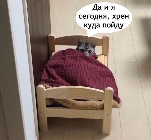 Просто я каждые выходные