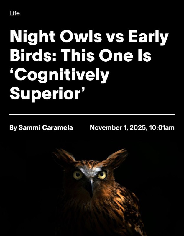 Чем позднее вы встаете, тем выше ваш IQ и скорость мышления — совы официально лучше жаворонков. Учён