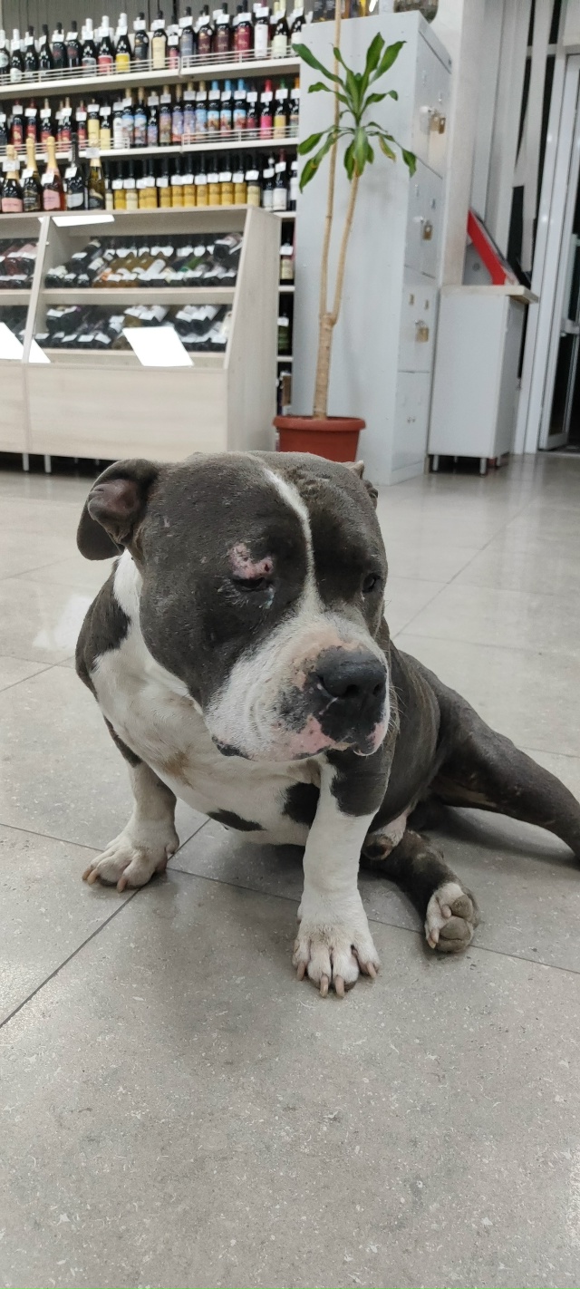 Чей мальчишка, потеряшка? 60 лет ВЛКСМ магазин ГАСТРОНО?...