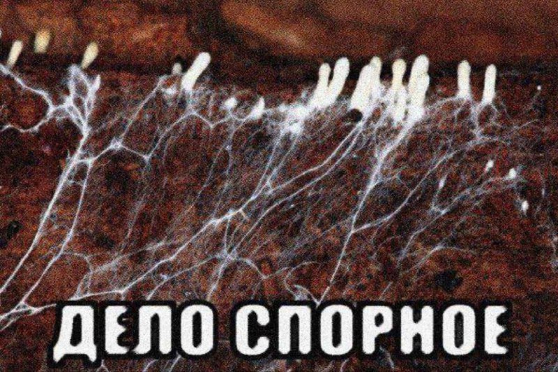 Утренняя подборочка