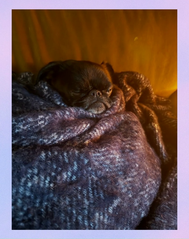 Я, когда мне предлагают пойти погулять в такой дубак: