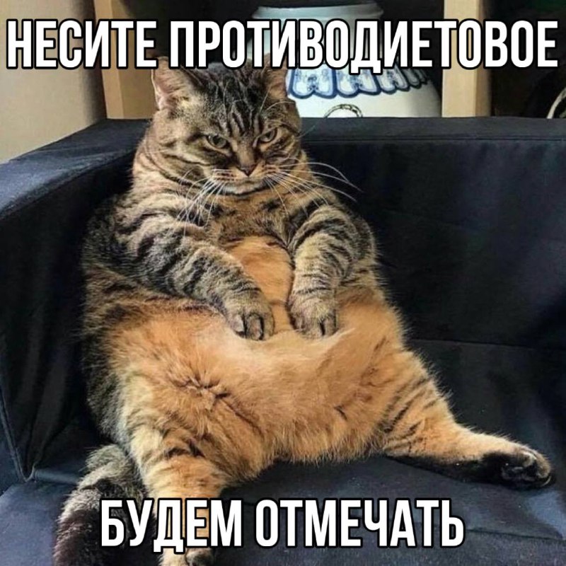 Сегодня отмечается Международный день отказа от диет
Самое время заказать пиццу или другие вкусняшк