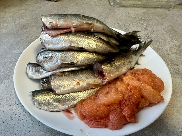 ❗️❗КРАЙНИЙ ПРИВОЗ СВЕЖЕЙ РЫБКИ РЯПУШКА (РЯПУС)️❗️❗...