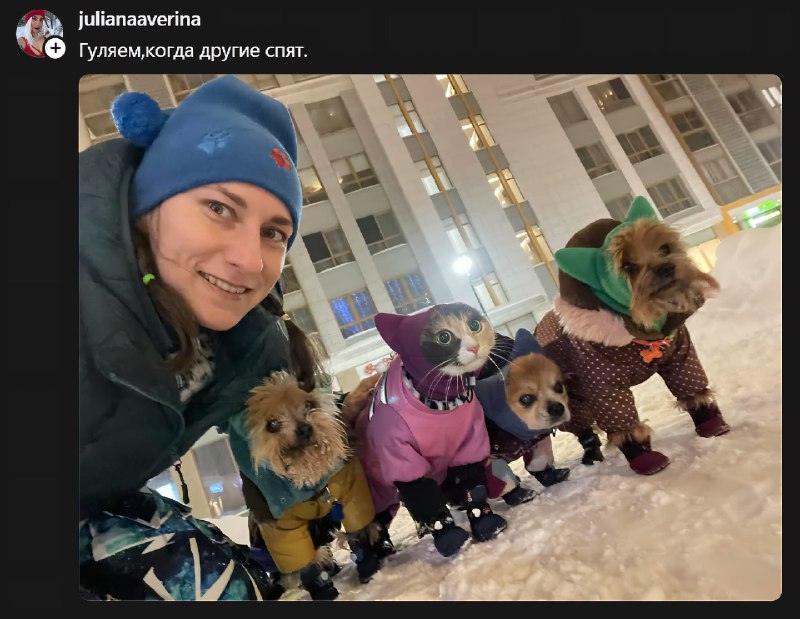 Когда наврал на собеседовании, но тебя всё равно приняли