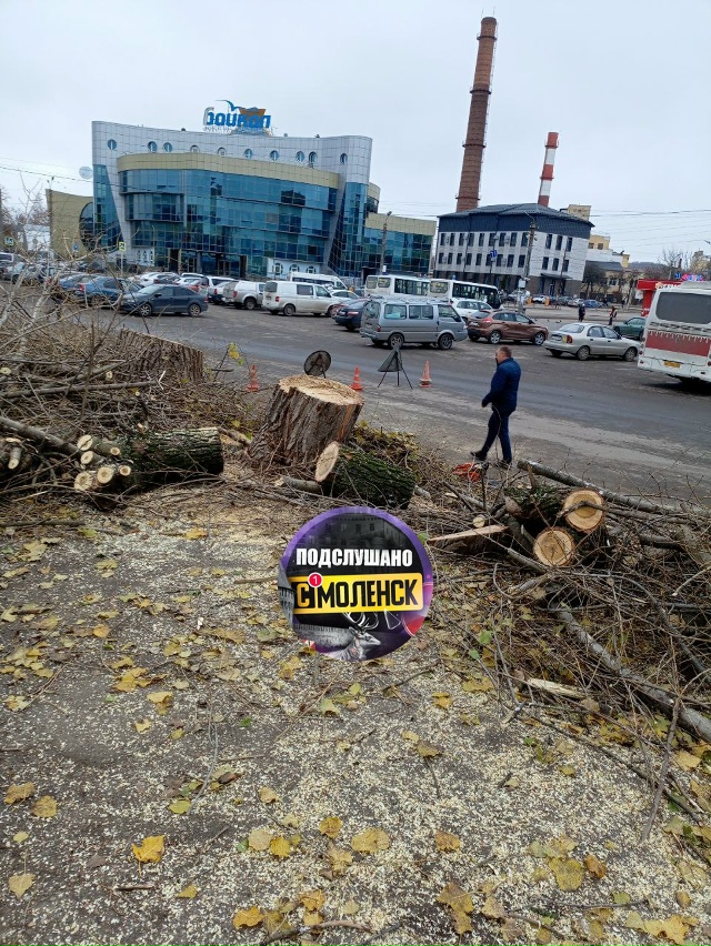 Власти города руками Зеленспила продолжают уничтожат?...