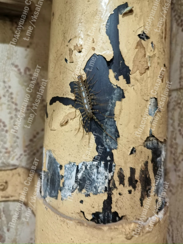 Кто , кто в Салавате живёт??