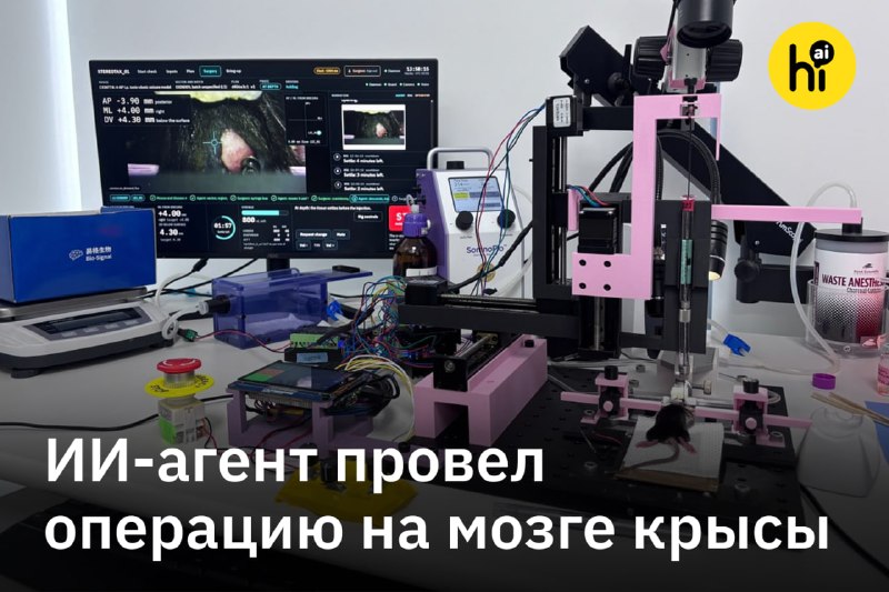 ❗️ ИИ-агент провел операцию на мозге крысы
Об этом рассказал основатель биотех стартапа Exin Therap