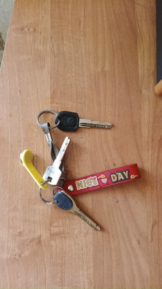 В районе улицы Некрасова,1 Волхов,найдены ключи!89526683457