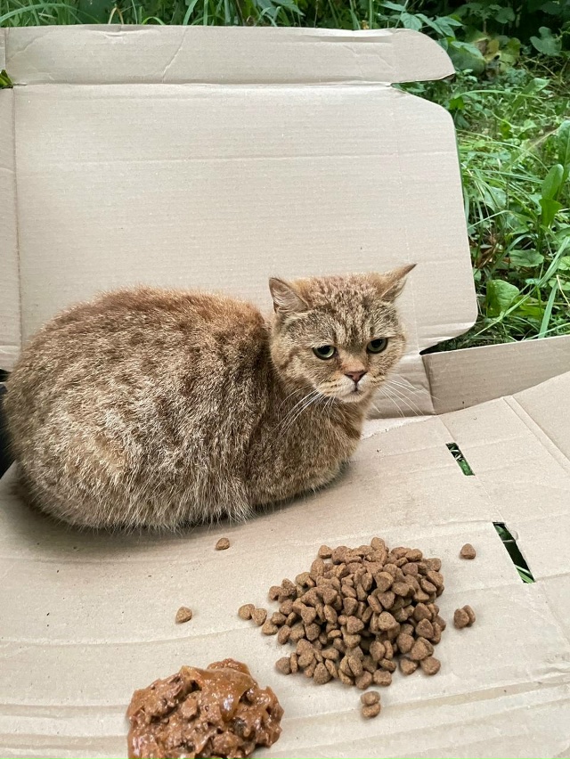 МО ,г.Орехово-Зуево !
Очередное предательство-выбросил?...