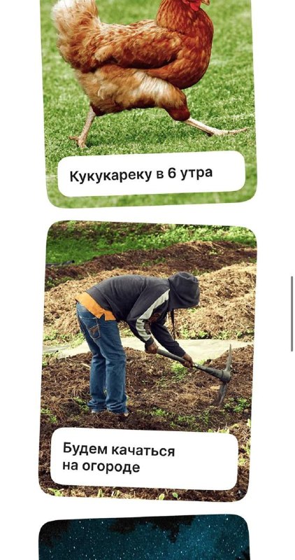 Лол, в Подмосковье запустили «лагеря» для перевоспитания зумеров. В них принимают людей от 14 до 25