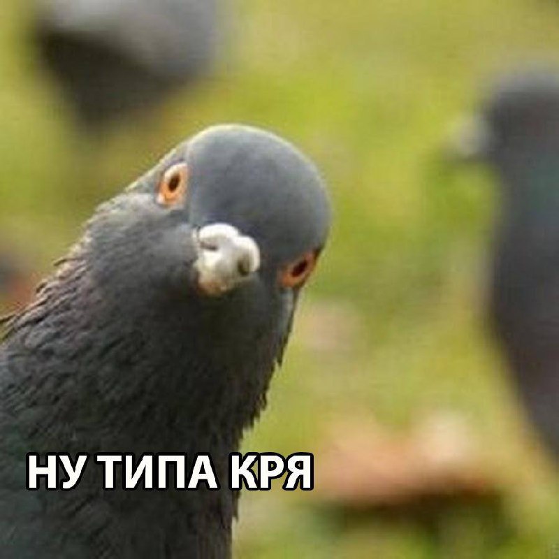 Уличных голубей подавали посетителям ресторана вместо уток.
Необычные блюда готовили в одном из кит