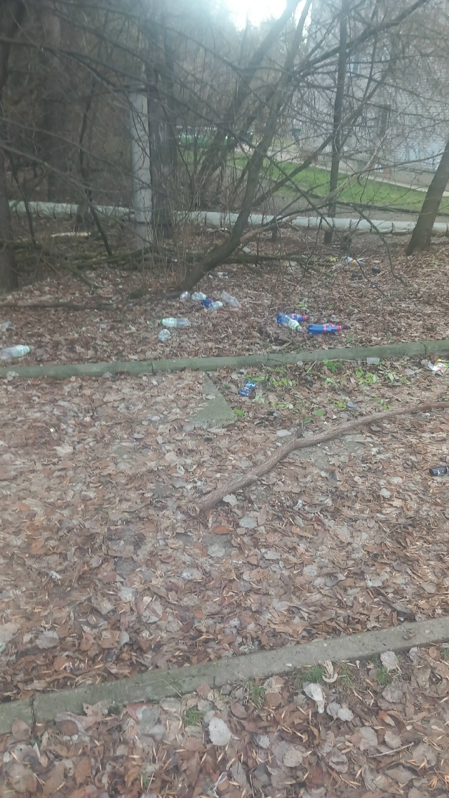 Вот такое безобразие годами не убирается