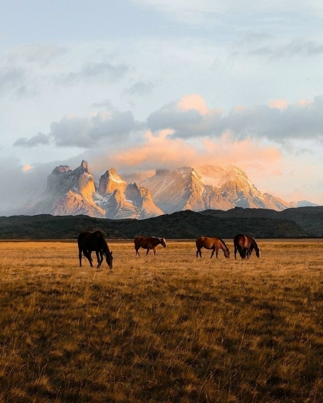 Иногда достаточно просто быть рядом — без слов, без пл?...