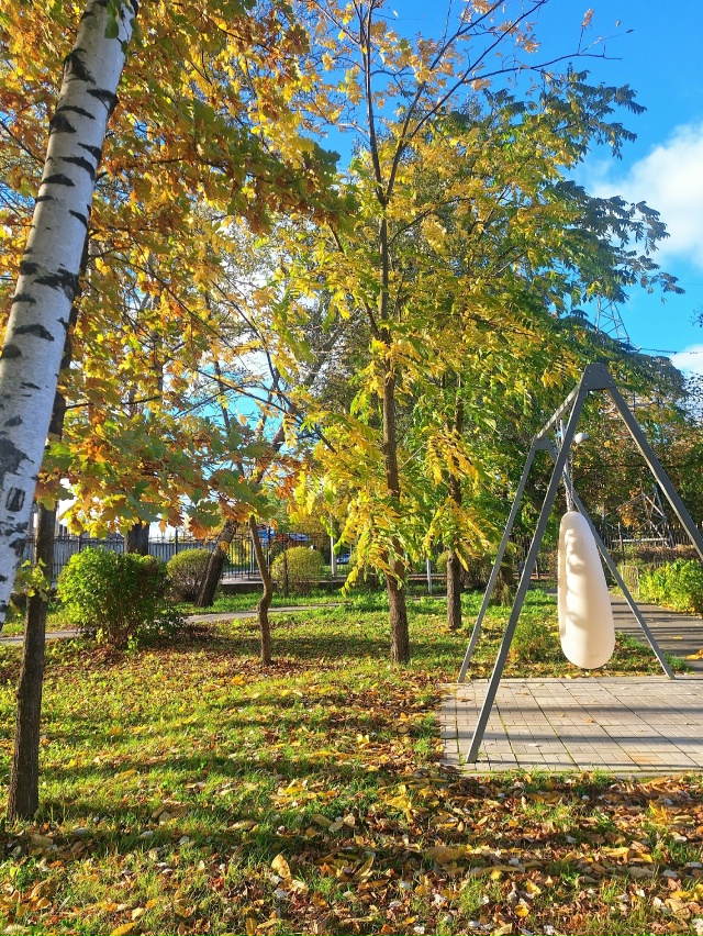 ✨️Моменты осени🍂 город Родники✨️🍁