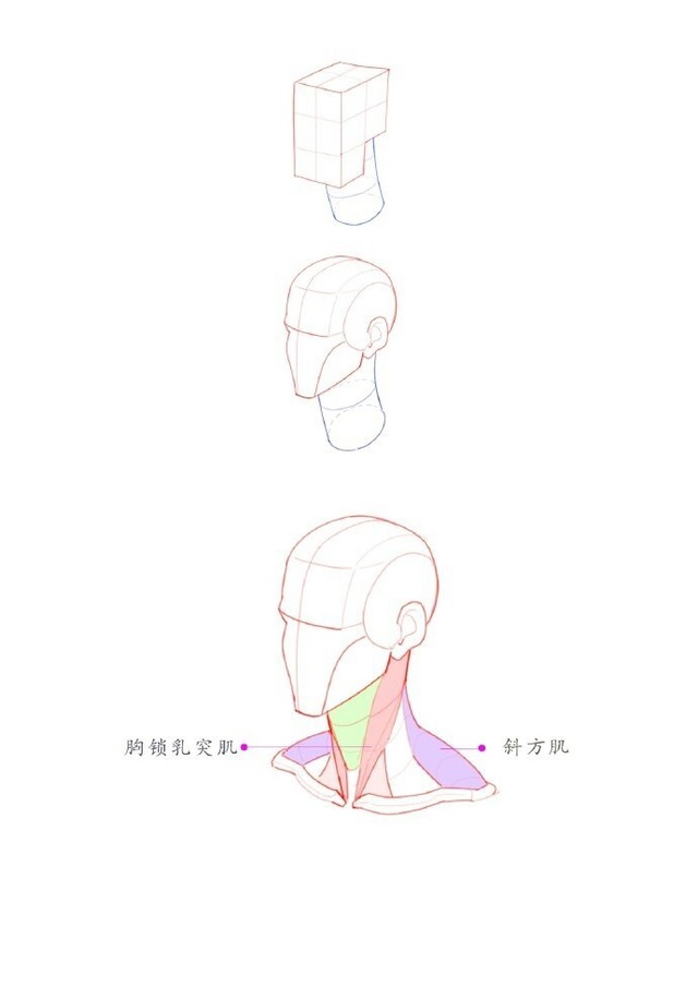 Голова
Tutorial