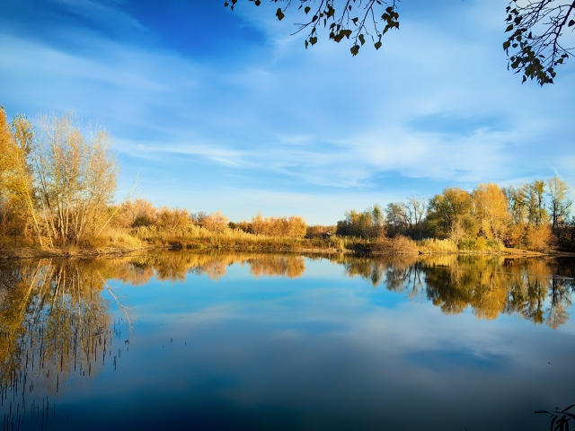 😍 Золотая осень в парке Строителей