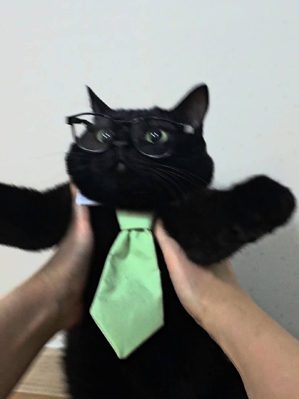 Мистарб кесулькен