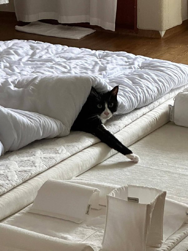 Ето я с утра проверяю холодно ли в комнате и прихожу к выводу, чьто лучше не покидать одеялко