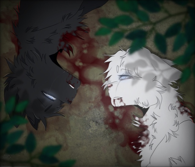 «Они убили друг друга»
Крик Гальки и Падающее Перо
Мой...