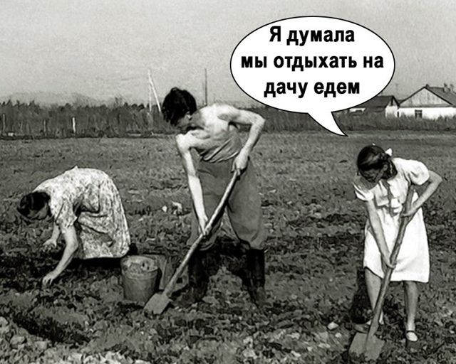 Ишь чего захотела, копай молча😅