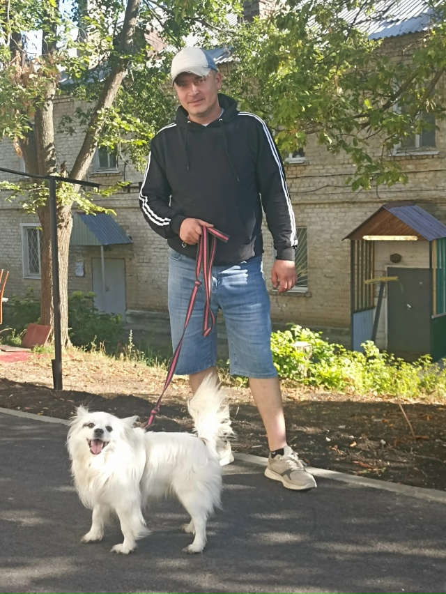 Пропала собака 08.08.2025, в районе пионера, по кличке Алекс...