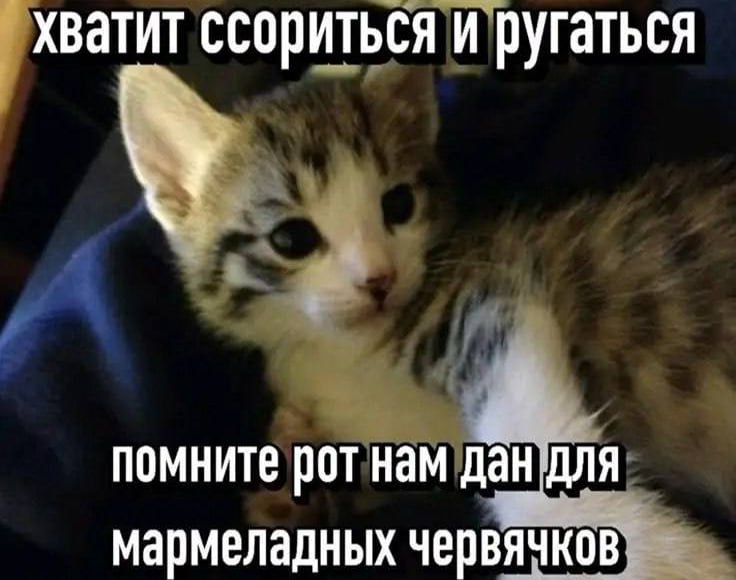 Утренняя подборочка