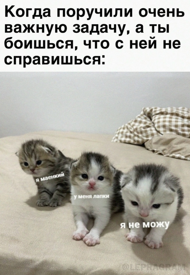 Просто очередной рабочий день